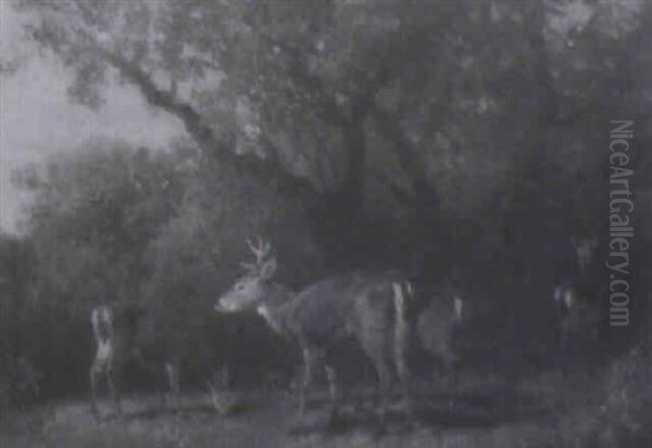 Deer Feeding In A Clearing Oil Painting by Hermann Herzog