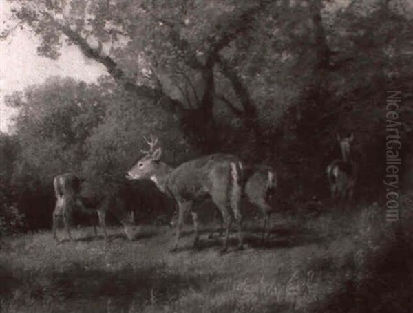 Deer Feeding In A Clearing Oil Painting by Hermann Herzog