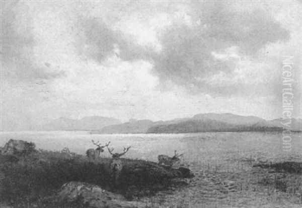 Stags By A Lake Oil Painting by Hermann Herzog