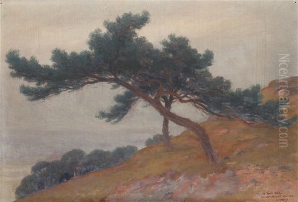 Les Pins Sur La Colline, Aout Oil Painting by Louis Hestaux