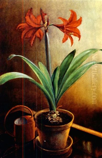 Stilleben Mit Amaryllis Oil Painting by Johann Heusch