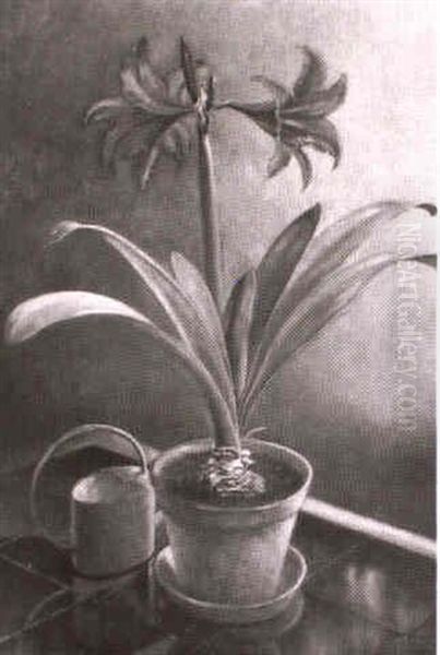 Amaryllis Oil Painting by Johann Heusch