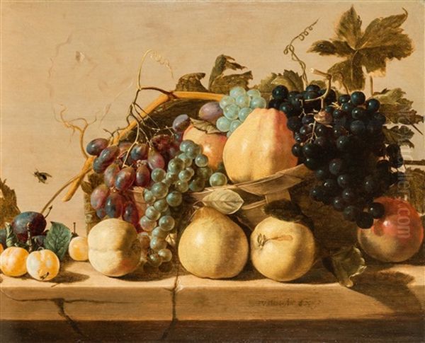 Still Life With Grapes And Pears In A Basket, With Peaches, Apricots, Plum And Pomegranate With Insects On A Stone Slab Oil Painting by Nicolaes (Claes) Heussen