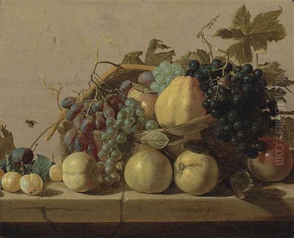 Grapes And Pears In A Woven Basket, With Pears, Peaches, Apricots And A Plum On A Stone Ledge, With A Fly On The Stone Wall Oil Painting by Nicolaes (Claes) Heussen