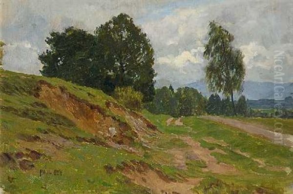 Landschaft Bei Kochel Oil Painting by Paul Hey