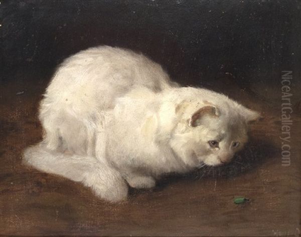 Persian Cat, Watching A Beetle Oil Painting by Arthur Heyer