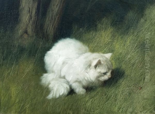 Persian Cat In The Grass Oil Painting by Arthur Heyer