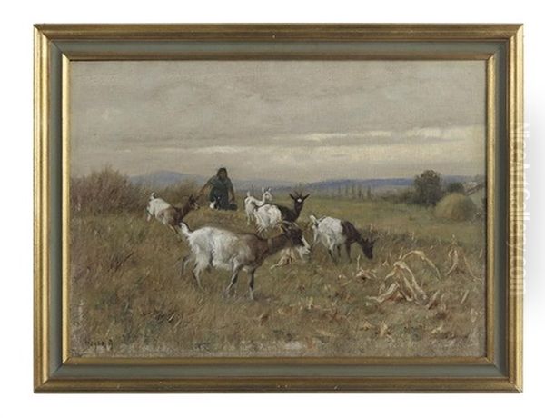 Goats In Toulon Oil Painting by Arthur Heyer