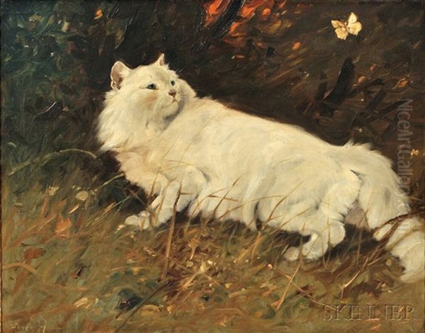 Cat And Butterfly Oil Painting by Arthur Heyer