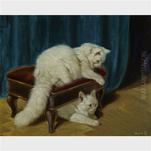 White Persian Cats Playing On A Footstool Oil Painting by Arthur Heyer