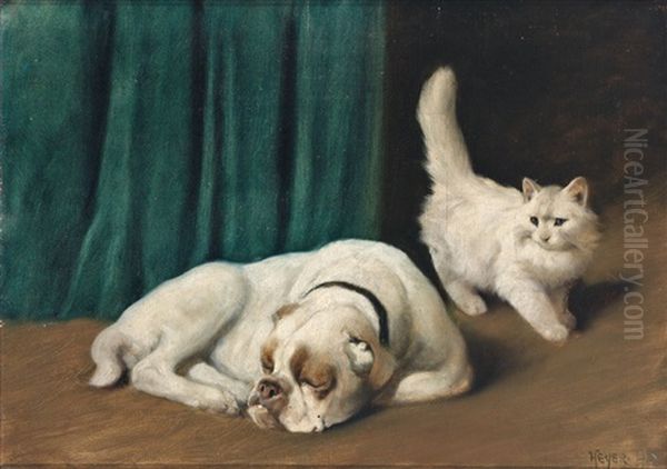 Ruhende Bulldogge Und Weise Perserkatze Oil Painting by Arthur Heyer