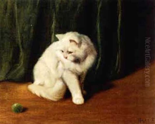 White Persian Cat Playing With A Ball Oil Painting by Arthur Heyer