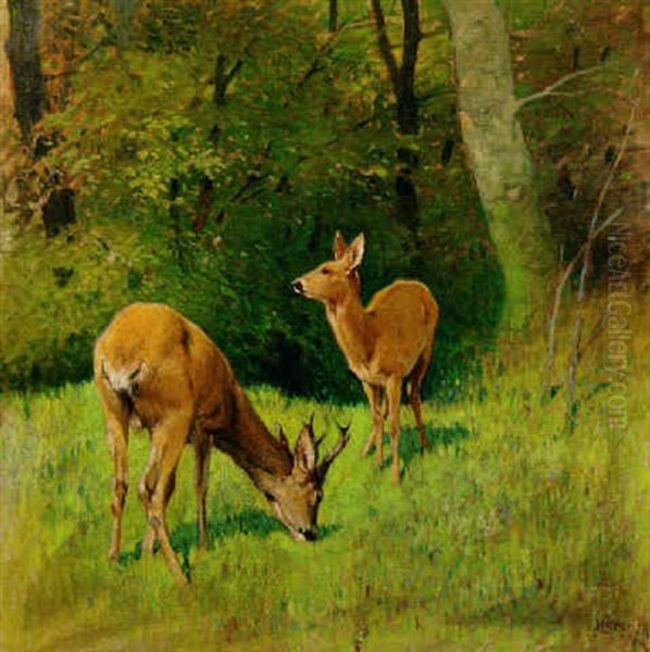 Deer In A Wooded Glade Oil Painting by Arthur Heyer