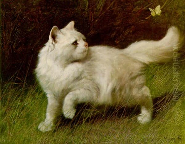 A White Persian Chasing A Butterfly Oil Painting by Arthur Heyer