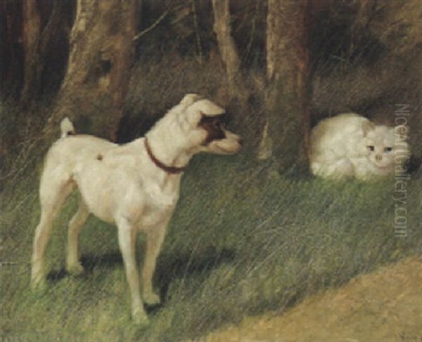 A Jack Russell Terrier With A White Persian Cat Oil Painting by Arthur Heyer