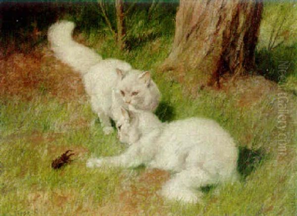 Cats Playing With A Beetle Oil Painting by Arthur Heyer