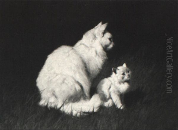 Mother Persian And Kitten Oil Painting by Arthur Heyer