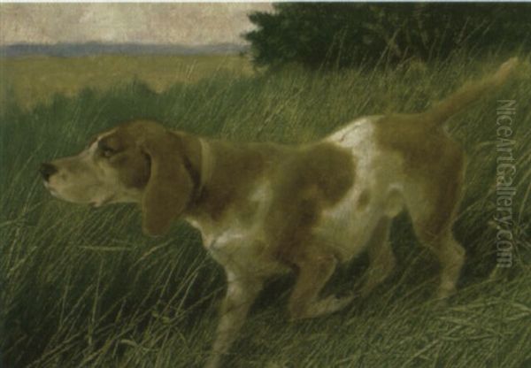 A Hound In A Landscape Oil Painting by Arthur Heyer