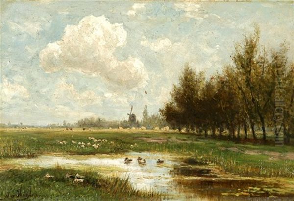 Teichlandschaft Mit Enten, Im Hintergrund Eine Windmuhle Oil Painting by Marius Heyl