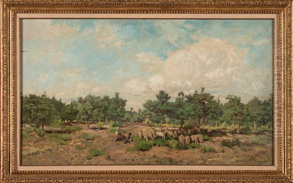 Moutons Dans Le Bois De Sapins Oil Painting by Adriaan Josef Heymans