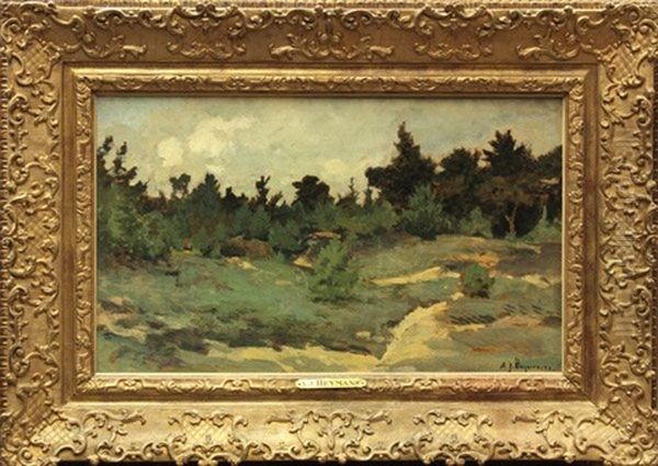 Landscape Oil Painting by Adriaan Josef Heymans