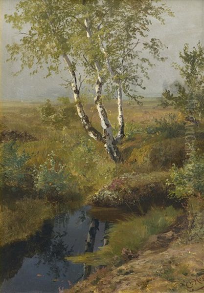 Fruhlingslandschaft Mit Birke An Einem Weiher Oil Painting by Karl Heyn