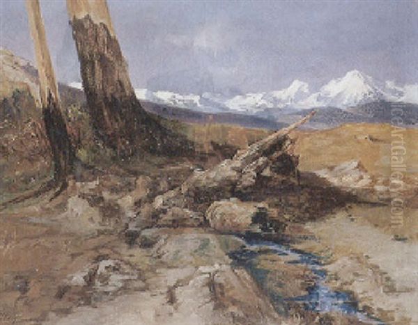 Fruhlingstag In Den Alpen Mit Sonnig Beleuchtetem Gebirgspanorama Oil Painting by Karl Heyn