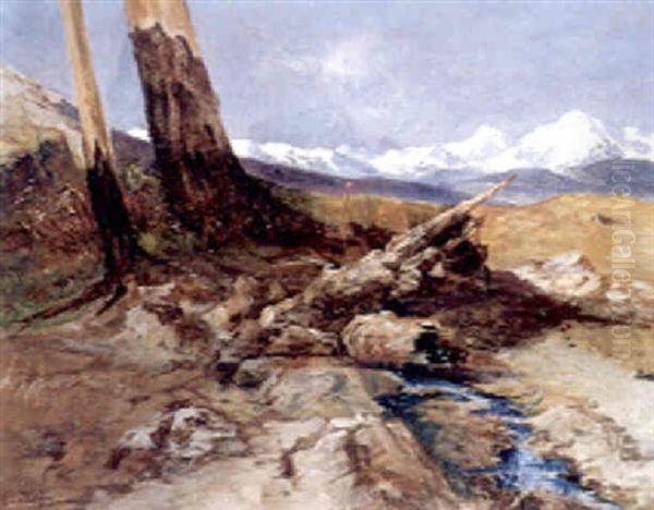 Fruhlingstag In Den Alpen Mit Sonnig Beleuchtetem Gebirgspanorama Oil Painting by Karl Heyn