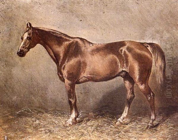 Etude De Cheval Alezan Oil Painting by Louis Robert Heyrault