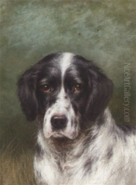 The Head Of An English Setter Oil Painting by Tom Heywood