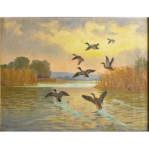 Ducks In Flight Oil Painting by Arthur H. Hider