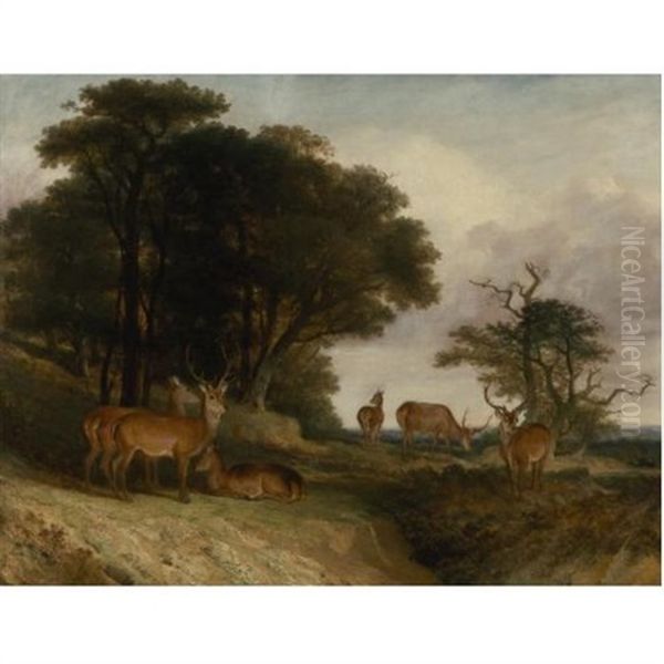 Deer At The Edge Of A Clearing At Sunset Oil Painting by William John Higgins