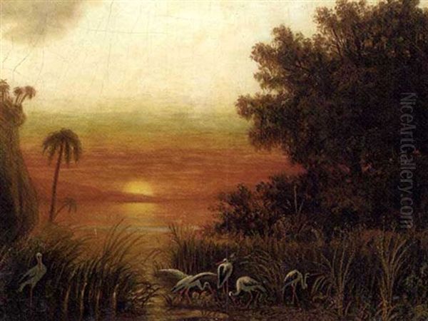 South American Landscape With Storks By A Lake At Sunset Oil Painting by Eduard Hildebrandt