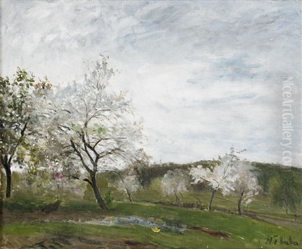 Blommande Frukttrad Iii Oil Painting by Carl Fredrik Hill