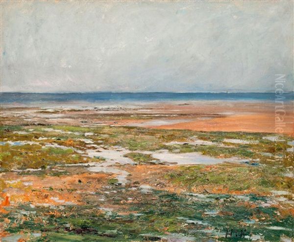 Strandmotiv Fran Luc-sur-mer Oil Painting by Carl Fredrik Hill