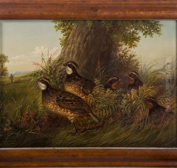 A Family Of Quail Oil Painting by Howard L. Hill