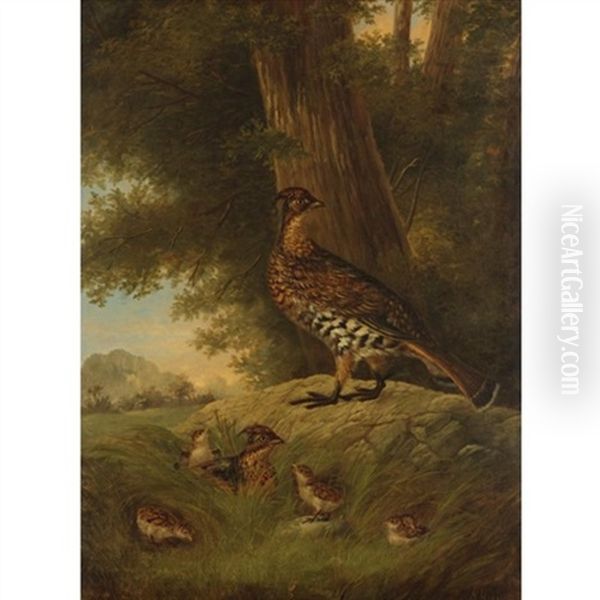 A Family Of Grouse In A Landscape Oil Painting by Howard L. Hill