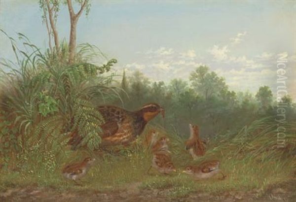 A Quail Feeding Her Chicks Oil Painting by Howard L. Hill