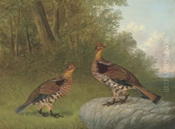 A Pair Of Ruffled Grouse Beside A Wood by Howard L. Hill