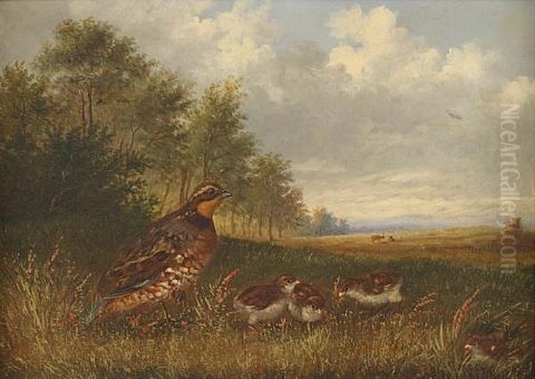 Quails Oil Painting by Howard L. Hill