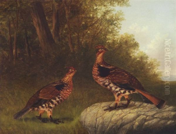 Pair Of Partridges Oil Painting by Howard L. Hill