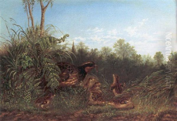 A Family Of Quail Oil Painting by Howard L. Hill