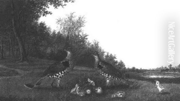 Family Of Grouse Oil Painting by Howard L. Hill