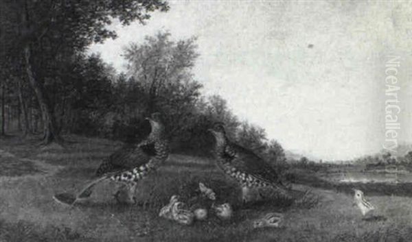 A Family Of Pheasants Oil Painting by Howard L. Hill