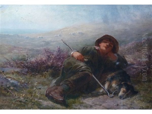 Shepherd Boy Sleeping Oil Painting by James John Hill