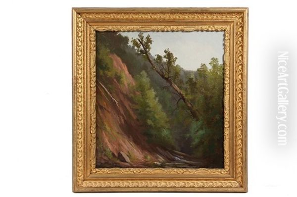 Leaning Tree At Cliff Face Oil Painting by Edward Hill