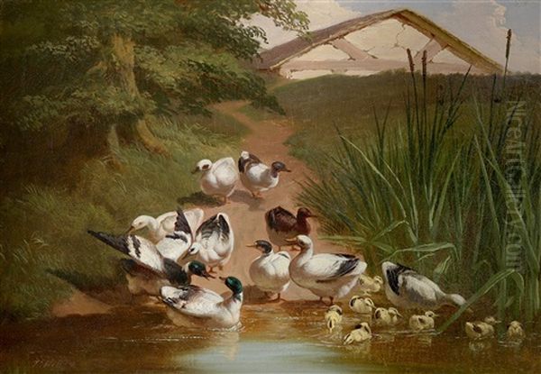 Ducks And Ducklings By A Pond Oil Painting by Thomas Hill