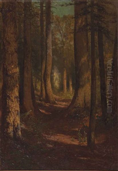 A Tree Lined Path Through The Woods Oil Painting by Thomas Hill