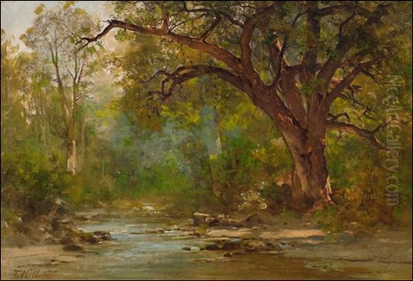 Brook Scene Oil Painting by Thomas Hill