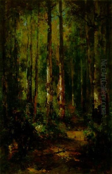 A Forest Path Oil Painting by Thomas Hill